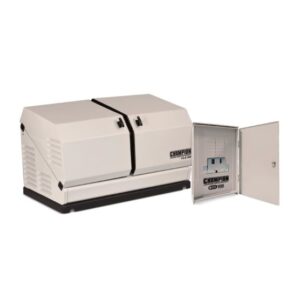 Champion 12.5-kW Home Standby Generator with 100-Amp Outdoor Switch (US & CA)