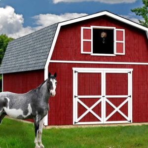 Best Barns Roanoke 16x28 Wood Storage Shed Kit