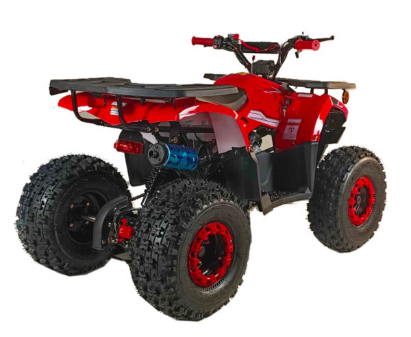 125cc Youth ATV 4-stroke 1-cylinder JUST ARRIVED 2025 - Image 8