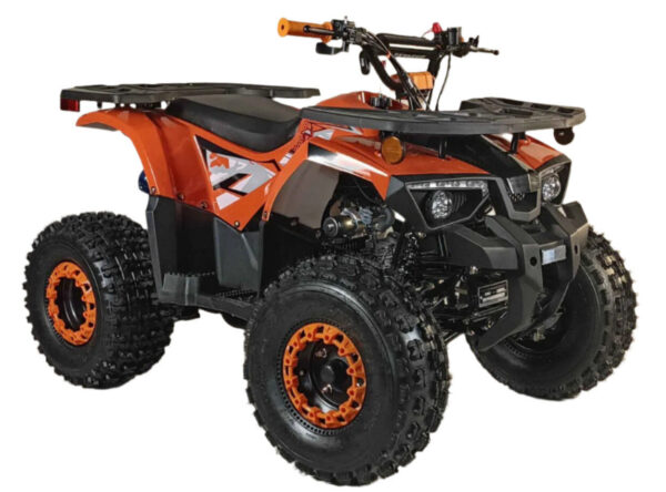 125cc Youth ATV 4-stroke 1-cylinder JUST ARRIVED 2025 - Image 7