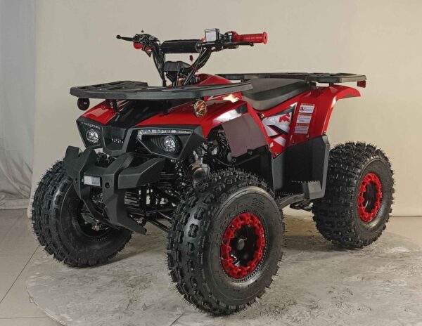 125cc Youth ATV 4-stroke 1-cylinder JUST ARRIVED 2025 - Image 5