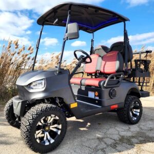 48V Electric Golf Cart 4 Seater Renegade Light Edition Utility Golf UTV - LIGHT EDITION - Charcoal