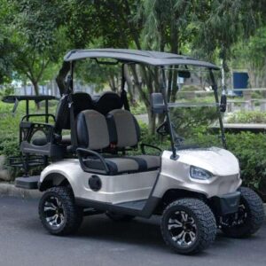 48V Electric Golf Cart 4 Seater Renegade Light Edition Utility Golf UTV - LIGHT EDITION - SILVER