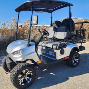 48V Electric Golf Cart 4 Seater Renegade Light Edition Utility Golf UTV - LIGHT EDITION - SILVER