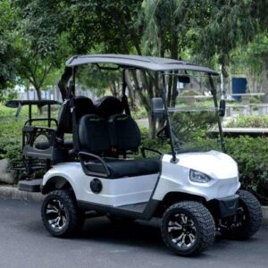 48V Electric Golf Cart 4 Seater Renegade Light Edition Utility Golf UTV - LIGHT EDITION - WHITE