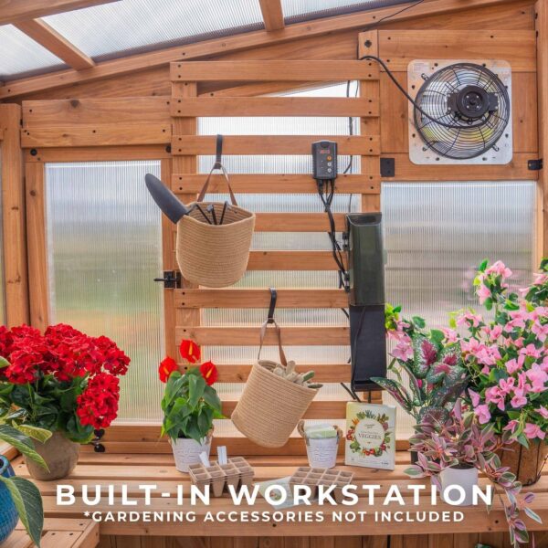 9x6 Willow Greenhouse - Image 11
