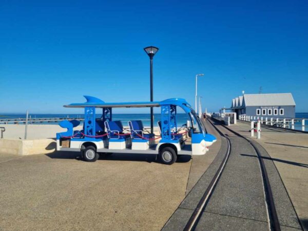 Hawk Bus - Custom Dolphin - 12 Seat - Image 6