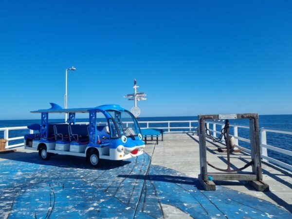 Hawk Bus - Custom Dolphin - 12 Seat - Image 8