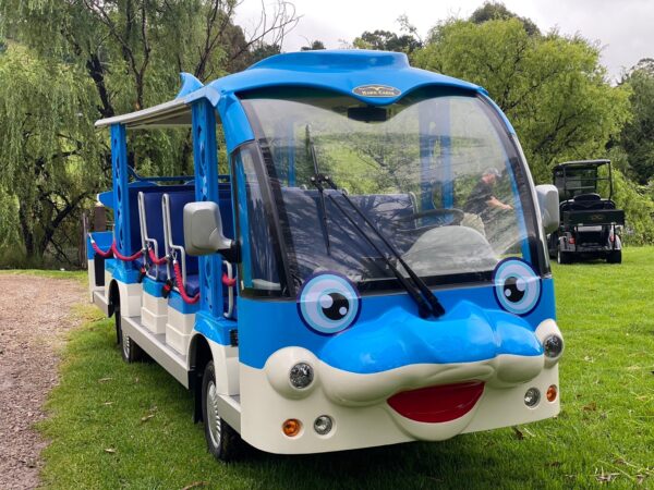 Hawk Bus - Custom Dolphin - 12 Seat - Image 3