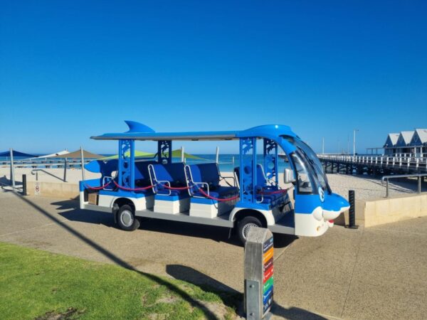 Hawk Bus - Custom Dolphin - 12 Seat - Image 5