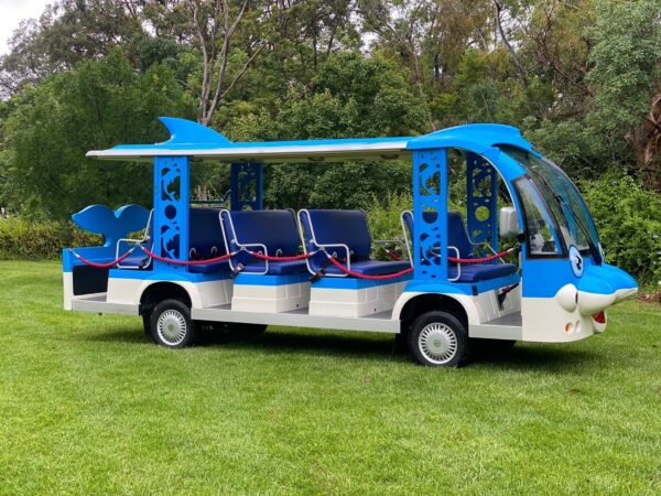 Hawk Bus - Custom Dolphin - 12 Seat - Image 4