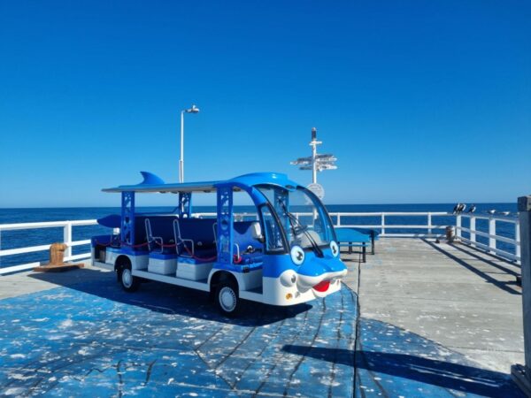 Hawk Bus - Custom Dolphin - 12 Seat - Image 7