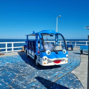 Hawk Bus - Custom Dolphin - 12 Seat