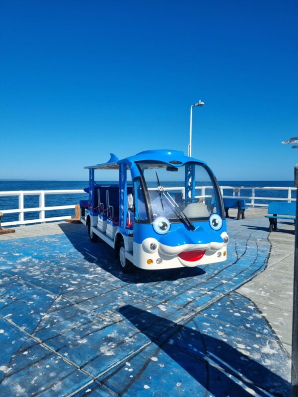 Hawk Bus - Custom Dolphin - 12 Seat - Image 2