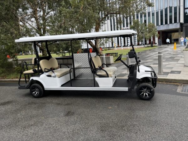 Hawk 6-Seat Accessibility Electric Vehicle
