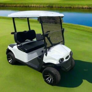 Hawk Golf Cart Electric 2 seat 100Ah Lithium