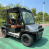 Hawk Yak 2+2 Seat Plug-In Hybrid - 72V Lithium - Image 3