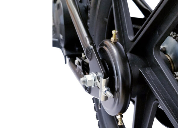 BROCUSA 16-inch Balance E-Bike-Black | Free Shippin - Image 11
