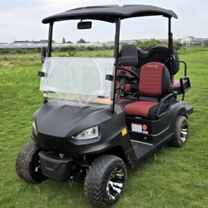 48V Electric Golf Cart 4 Seater Renegade X Edition Utility Golf UTV - BLACK