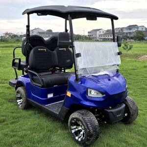 48V Electric Golf Cart 4 Seater Renegade X Edition Utility Golf UTV - BLUE