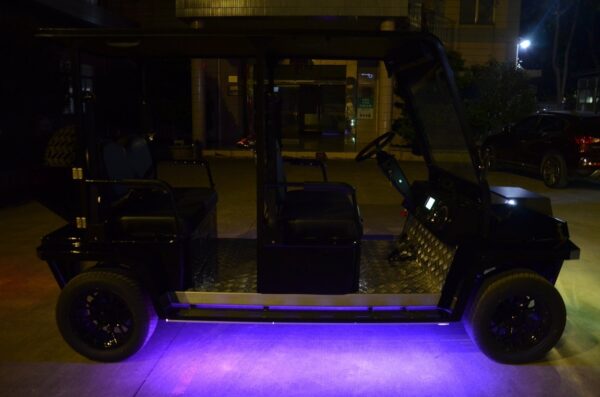 Hawk Yak 2+2 Seat Plug-In Hybrid - 72V Lithium - Image 14