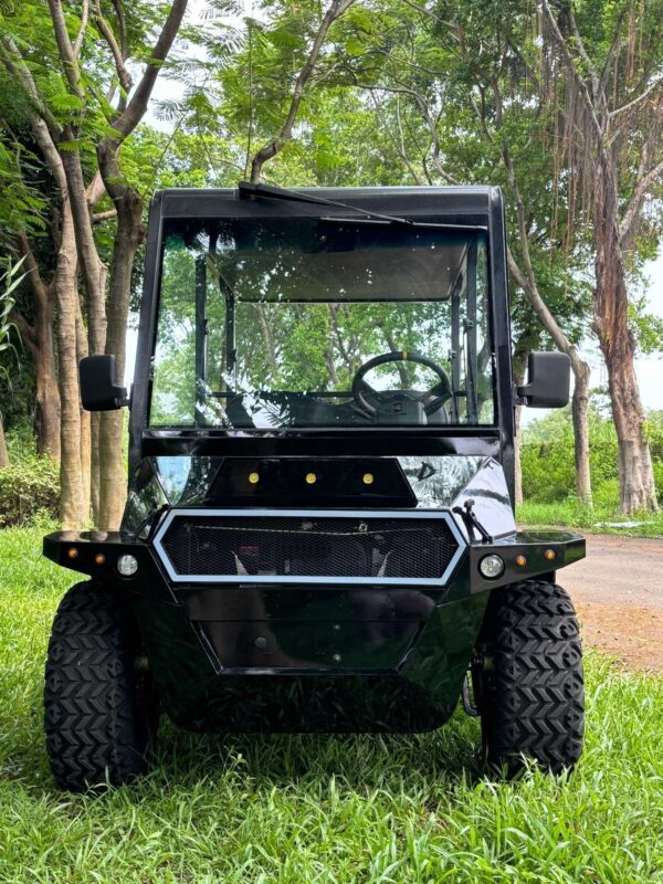 Hawk Yak 4 Seat Plug-In Hybrid 72V Lithium - Image 3
